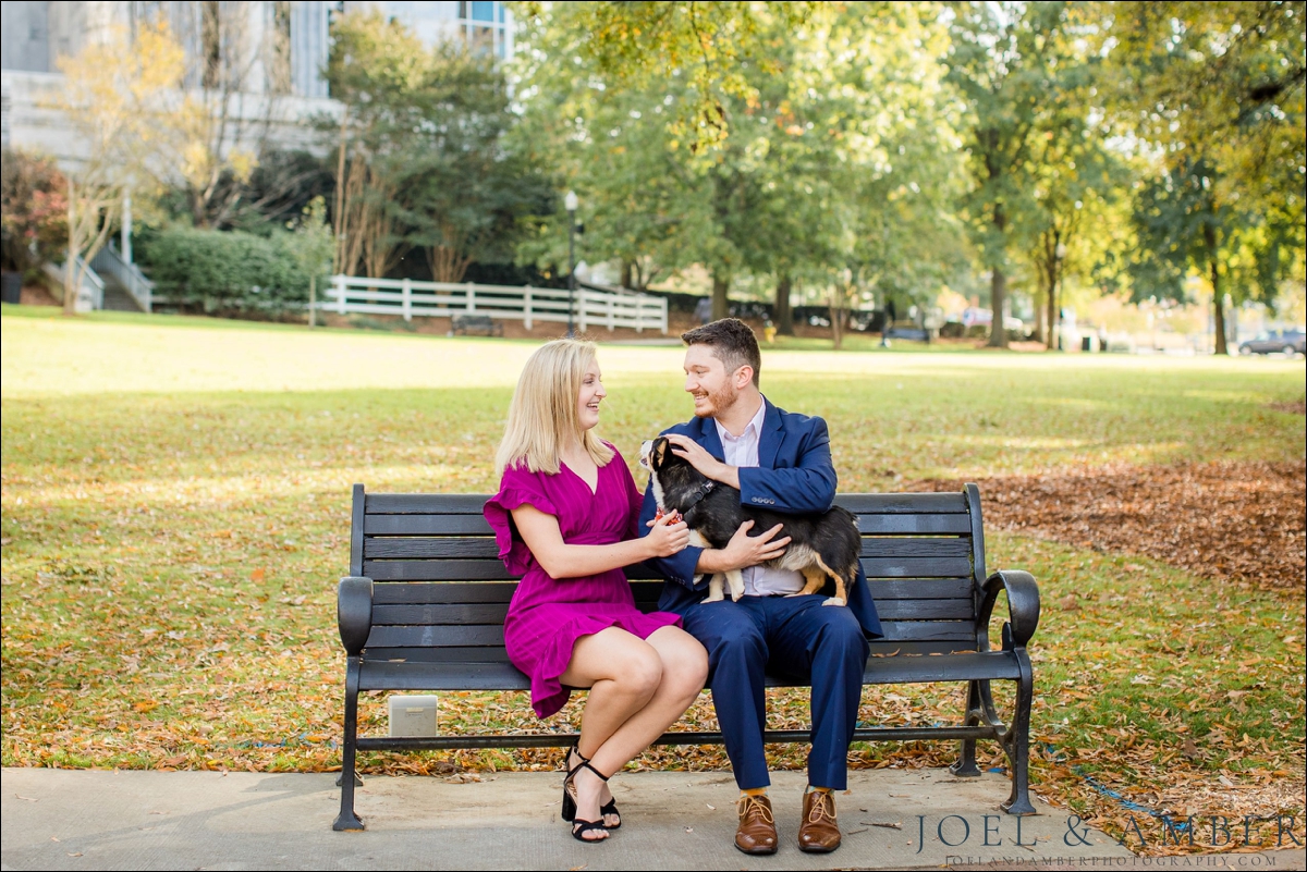 Including your dog in your engagement session