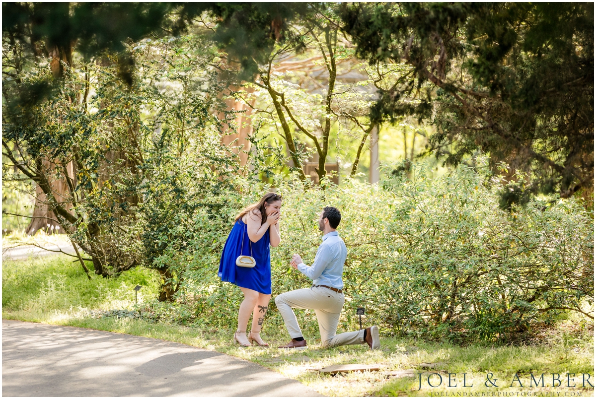 Proposal Location at Huntsville Botanical Garden