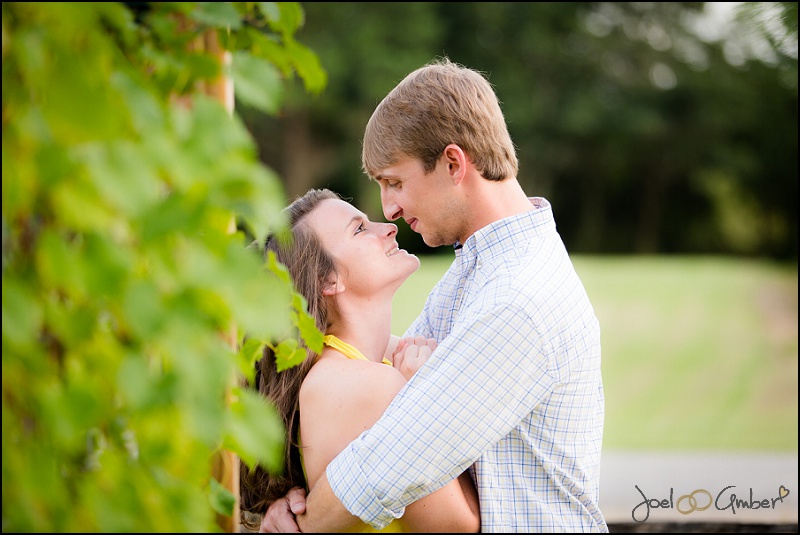 www.joelandamberphotography.com