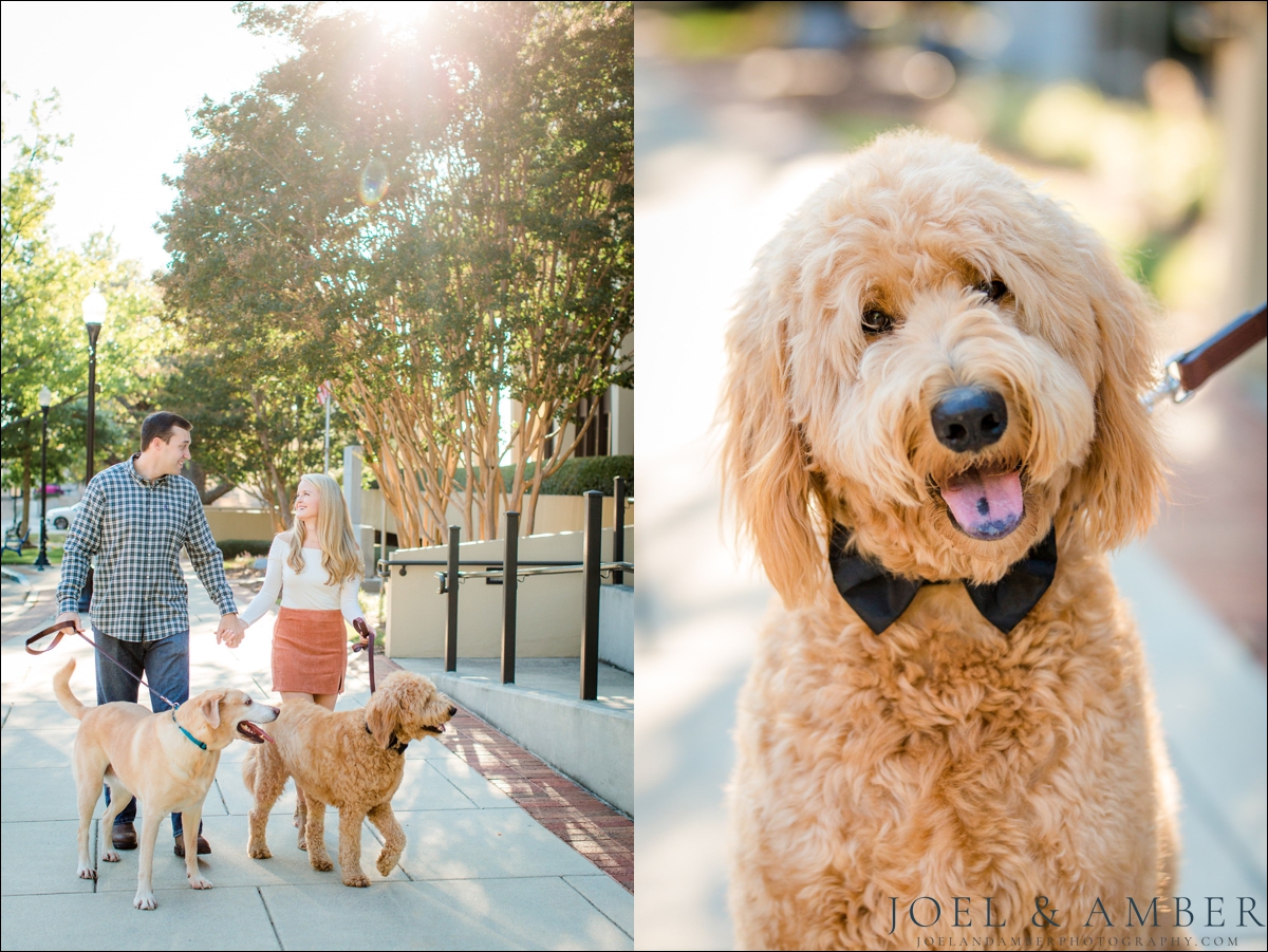 Including your dog in  your engagement session