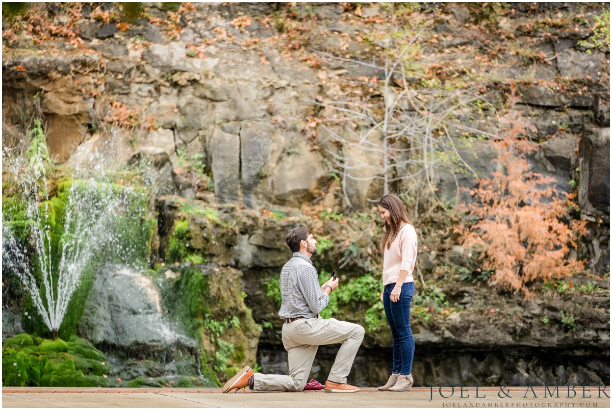 Big Spring Park downtown Huntsville proposal engagement