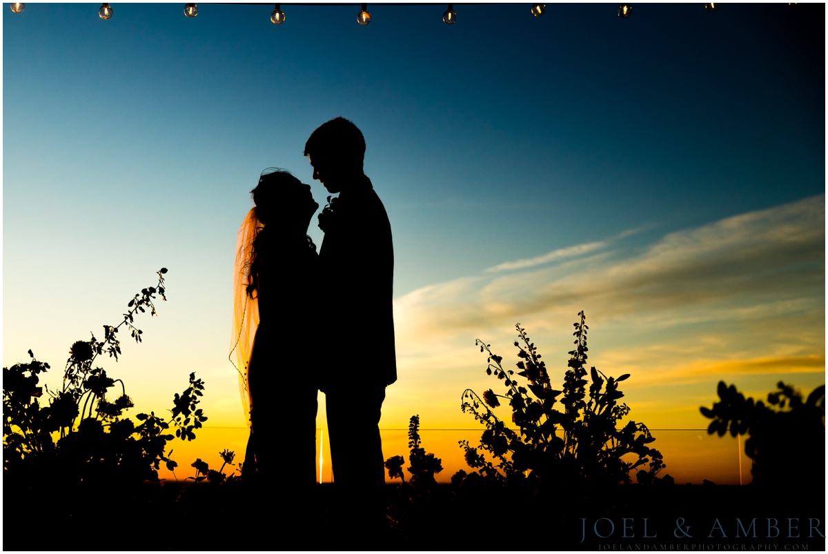 Blue and White Winter Burritt on the Mountain Wedding