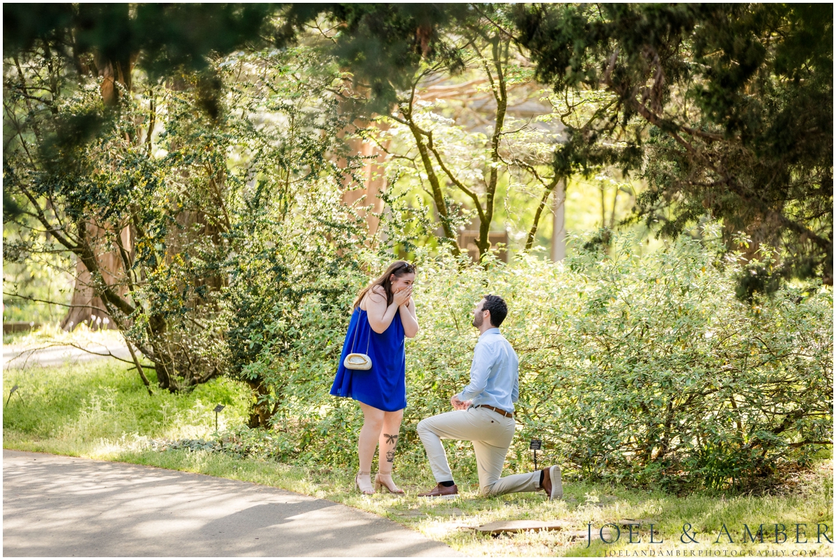 Proposal Location at Huntsville Botanical Garden