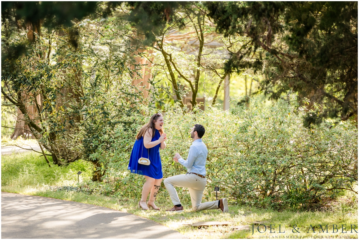 Proposal Location at Huntsville Botanical Garden
