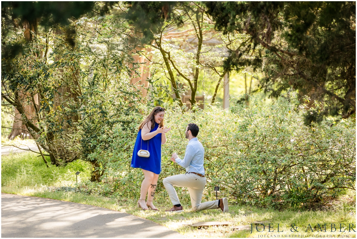 Proposal Location at Huntsville Botanical Garden