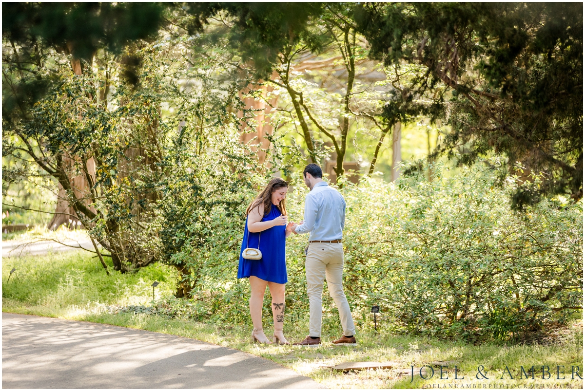 Proposal Location at Huntsville Botanical Garden