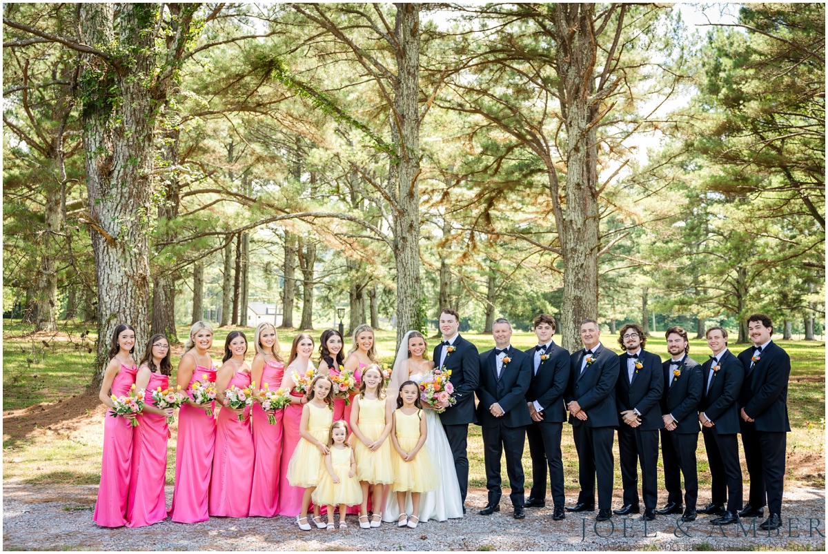 White Barn at Padgett Place Wedding bridal party