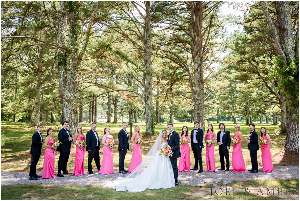White Barn at Padgett Place Wedding bridal party