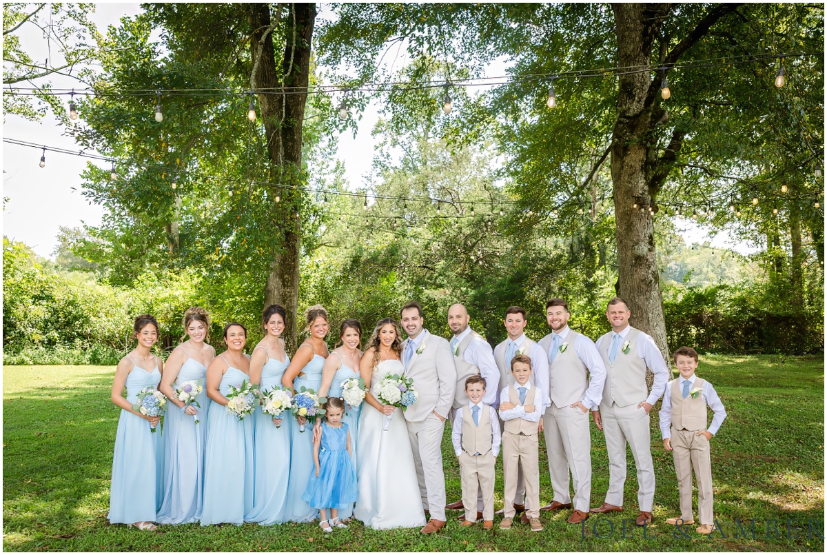 Summer Harvest Hollow Wedding bridal party